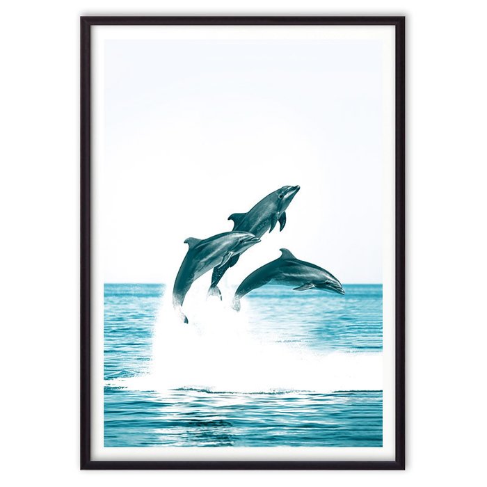 Постер в рамке Дельфины 21х30 см