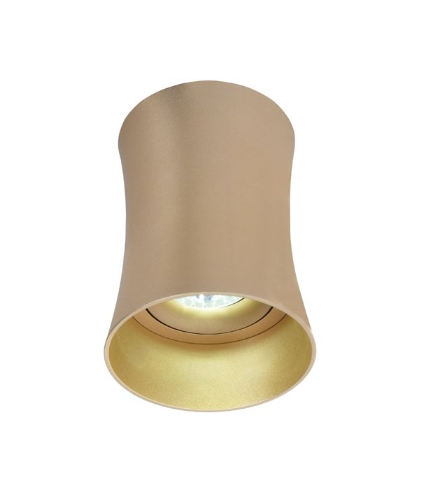 Накладной светильник Malton золотого цвета - лучшие Потолочные светильники в INMYROOM