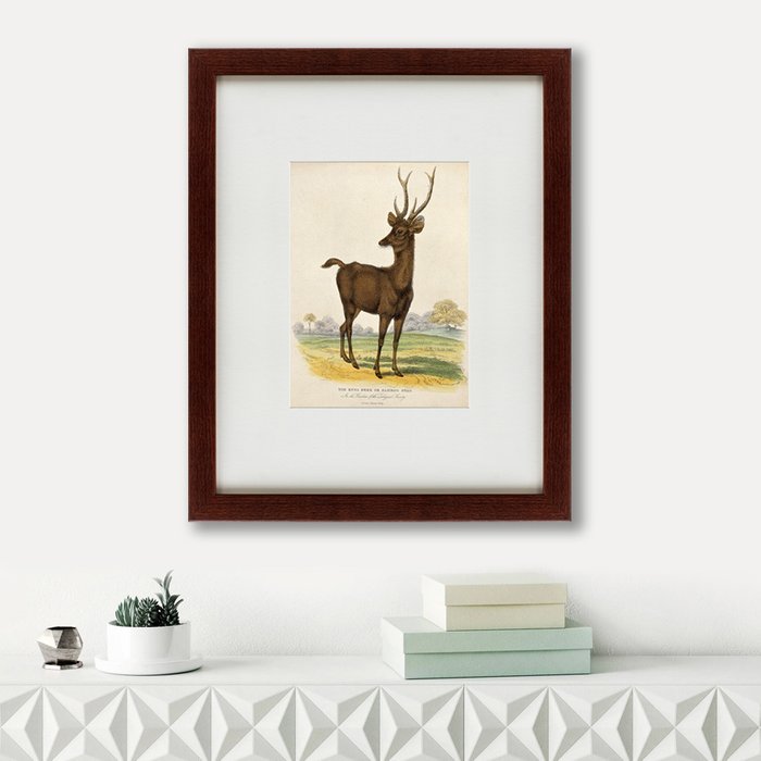Картина A Rusa deer 1830 г.