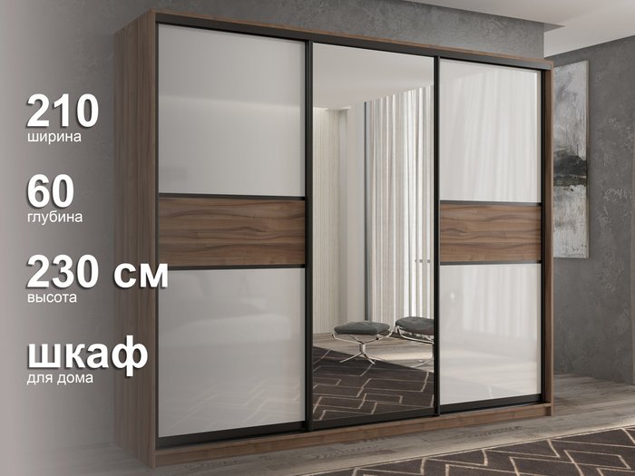 Шкаф-купе Кааппи-10 210 цвета Орех тьеполо  - лучшие Шкафы-купе в INMYROOM