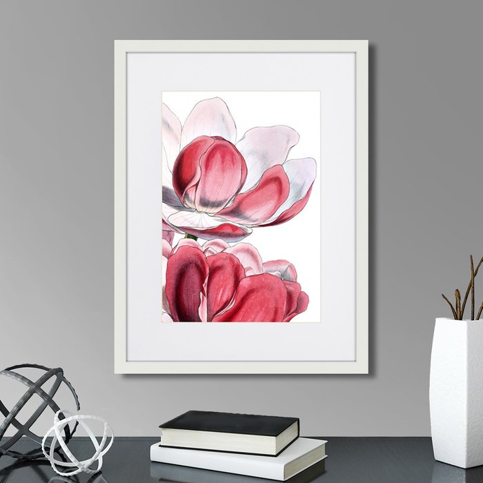 Набор из четырех репродукций картин Himalaya Plants Pink-Flower on white  - лучшие Картины в INMYROOM