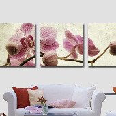 Модульная картина на холсте: Розовые орхидеи