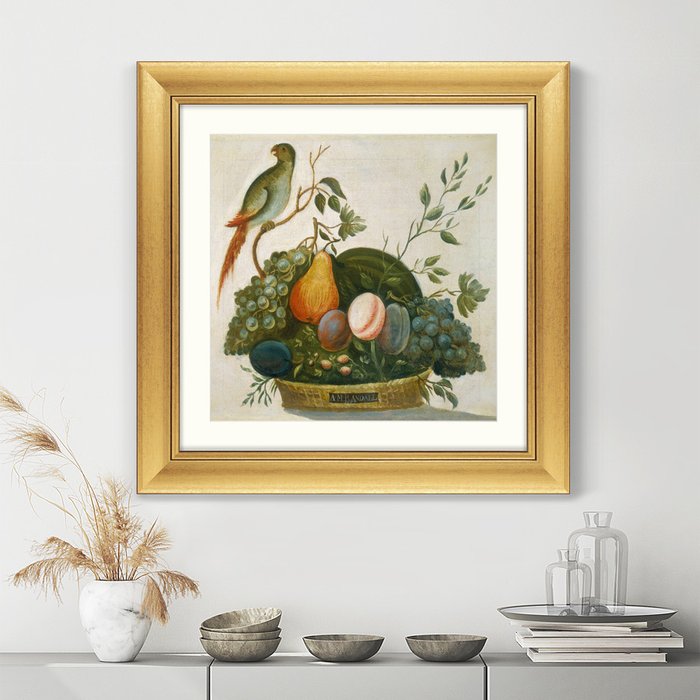 Репродукция картины в раме Basket of Fruit with Parrot, 1777г. - лучшие Картины в INMYROOM