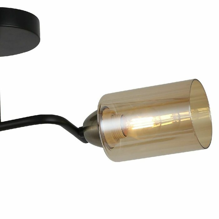 Потолочный светильник IL8148-2COU-79 BK BR (стекло, цвет коричневый) - купить Потолочные светильники по цене 2310.0