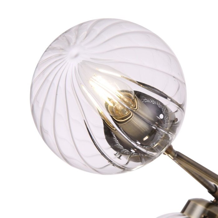 Потолочная люстра Daisy из металла - купить Потолочные люстры по цене 10392.0