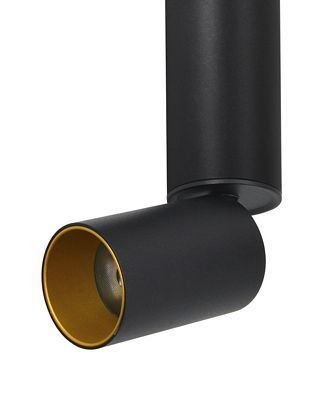 Потолочный светильник Торин черного цвета - купить Накладные споты по цене 2750.0