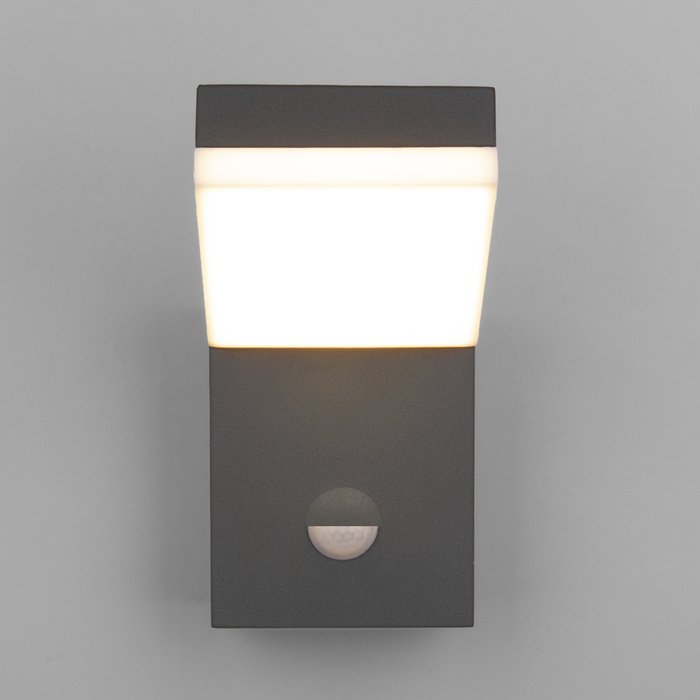 Уличный настенный светодиодный светильник Sensor серого цвета - купить Настенные уличные светильники по цене 8600.0