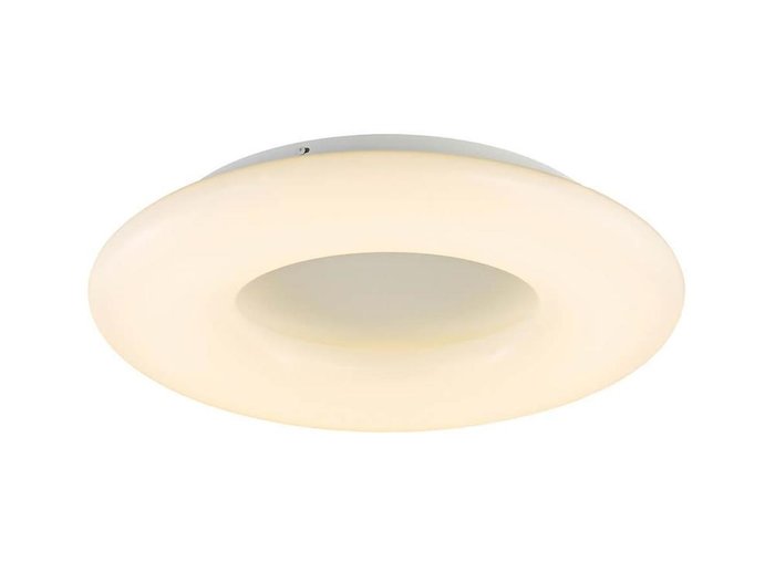 Потолочный светодиодный светильник белого цвета - купить Потолочные светильники по цене 26819.0