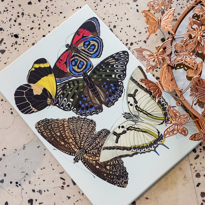 Картина Бабочки мира, версия 1 - купить Картины по цене 4500.0