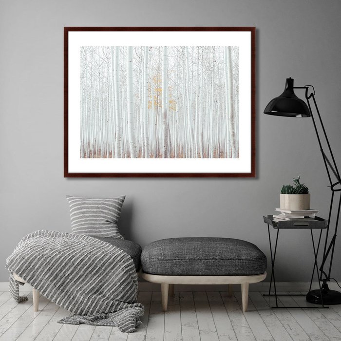 Картина The white wood forest - лучшие Картины в INMYROOM