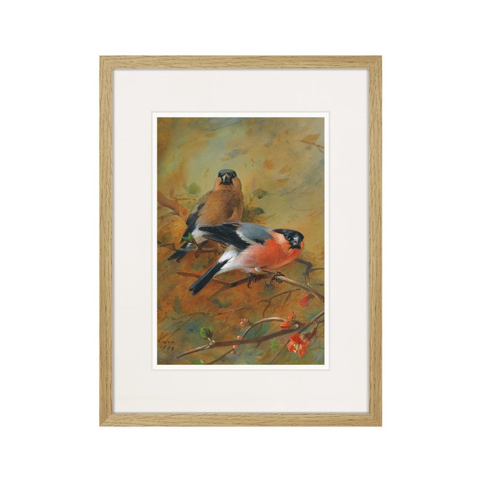 Репродукция картины Bullfinches and pyrus Japonica 1928 г. - купить Картины по цене 2995.0