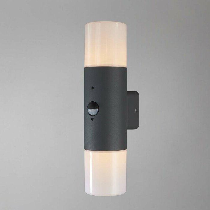Уличный настенный светильник Escada 534/2A - лучшие Настенные уличные светильники в INMYROOM