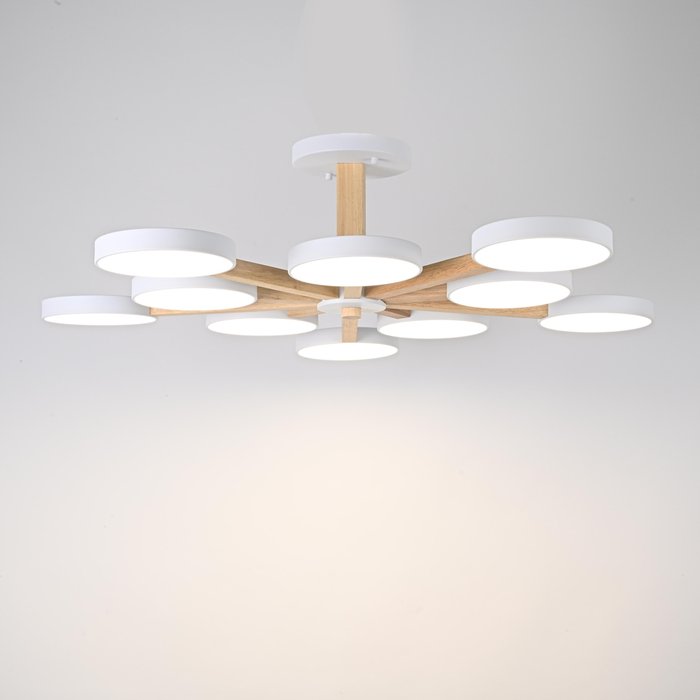 Потолочный светильник TURNA L10 White - лучшие Потолочные люстры в INMYROOM