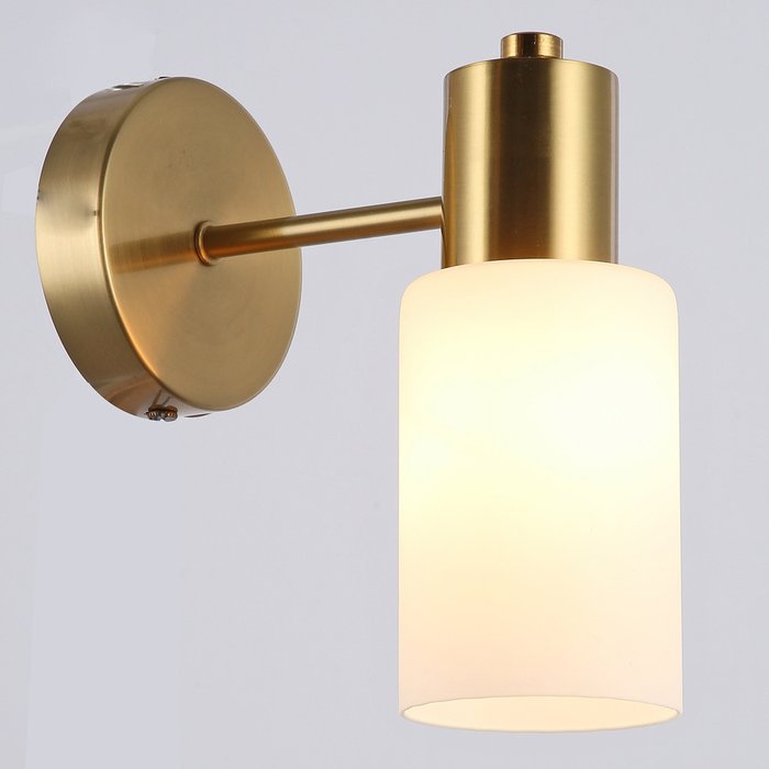 IL0110-1W-79 COP светильник настенный IL0110-1W-79 COP светильник настенный