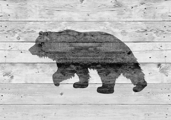 Репродукция картины на холсте Медведь 