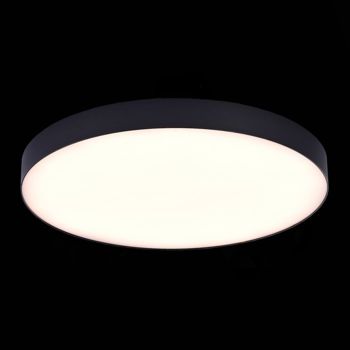 Светильник потолочный черного цвета - лучшие Потолочные светильники в INMYROOM