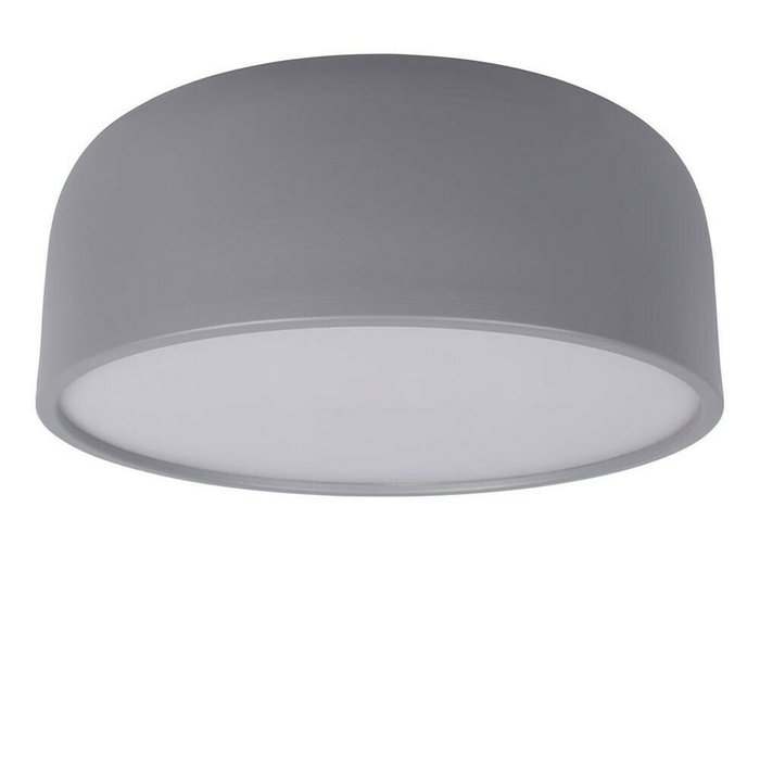 Потолочный светодиодный светильник Loft IT Axel 10201/350 Grey