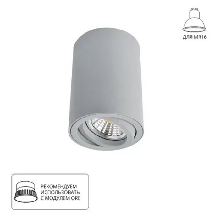 Точечный накладной светильник Arte Lamp SENTRY A1560PL-1GY