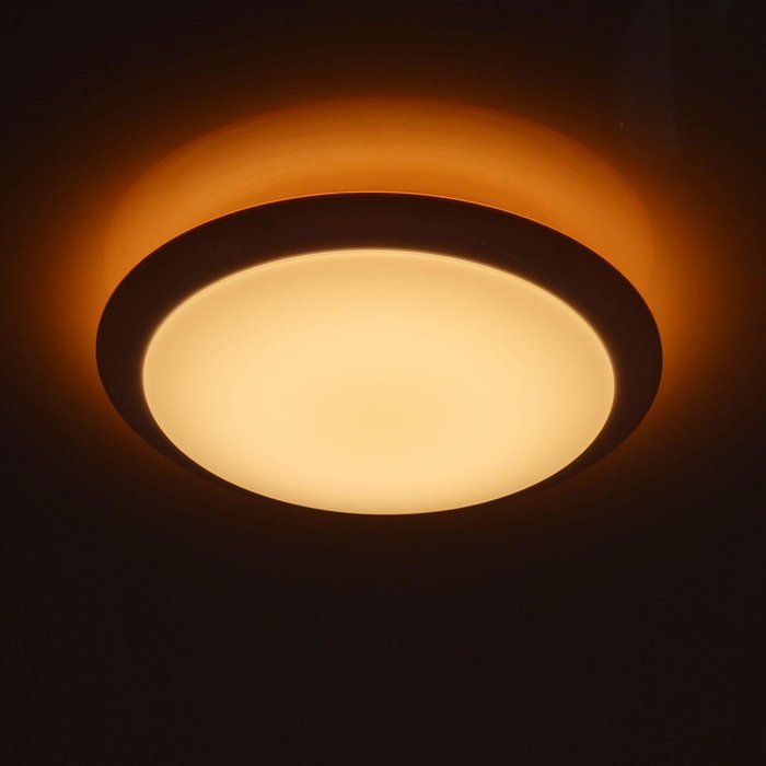 Потолочный светодиодный светильник Ривз   - лучшие Потолочные светильники в INMYROOM