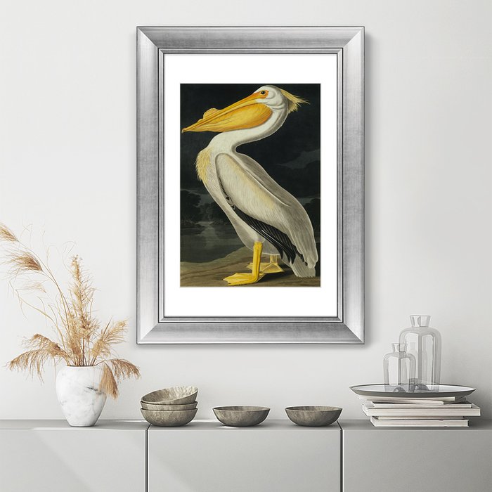 Картина Американский белый пеликан 1825 г. - лучшие Картины в INMYROOM