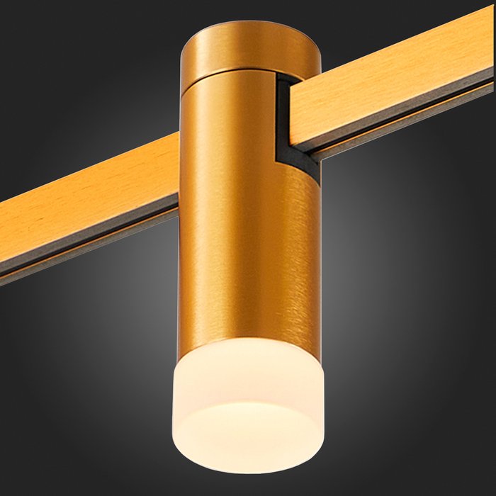 Магнитный трековый светильник FARM Золотистый LED 1*3W 3000K 93Lm Ra90 120 IP20 D29xH90 24V FARM - лучшие Трековые светильники в INMYROOM Магнитный трековый светильник FARM Золотистый LED 1*3W 3000K 93Lm Ra90 120 IP20 D29xH90 24V FARM - лучшие Трековые светильники в INMYROOM