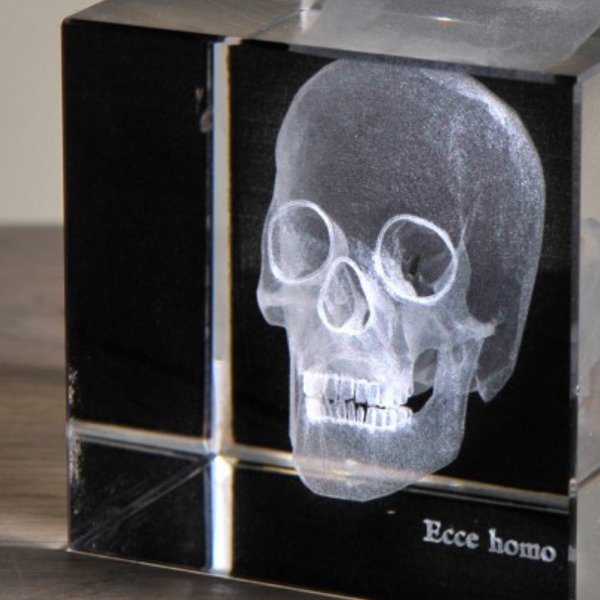 Аксессуар Skull 3D Small - купить Декоративные предметы по цене 2110.0