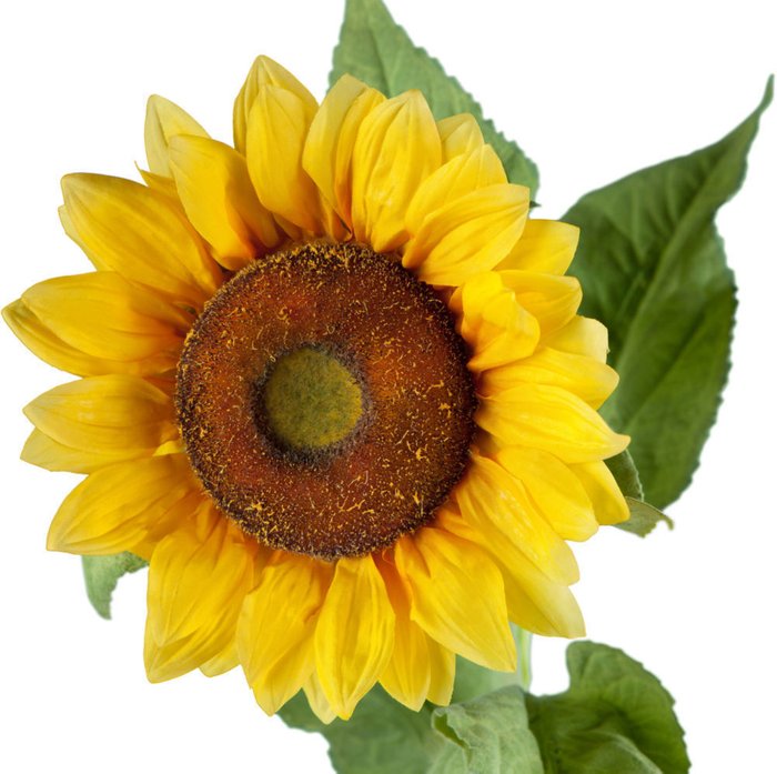 Декор Sunflower - купить Декоративные цветы по цене 1872.0