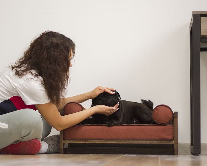 Лежанка для животных Лео терракотового цвета - лучшие Мебель для домашних питомцев в INMYROOM