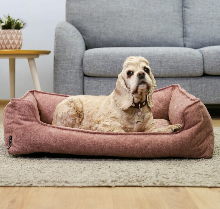 Лежанка прямоугольная для животных 45х55 розового цвета - лучшие Мебель для домашних питомцев в INMYROOM