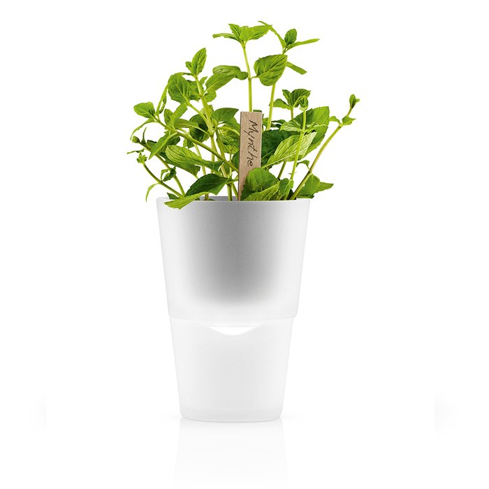Горшок для растений с естественным поливом Eva Solo herb pot матовое стекло - купить Вазы  по цене 4400.0
