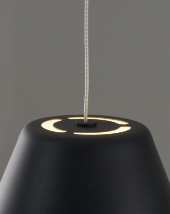 Подвесной светодиодный светильник Atla черного цвета - лучшие Подвесные светильники в INMYROOM