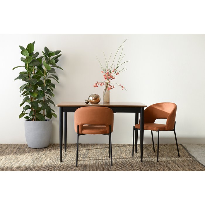Стул Earl коричневого цвета - лучшие Обеденные стулья в INMYROOM