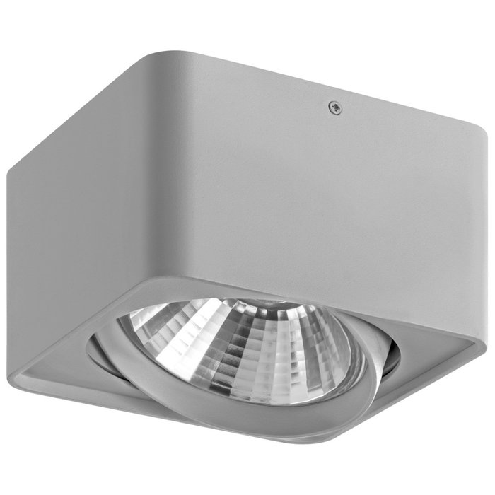 Потолочный светильник Monocco серого цвета - лучшие Потолочные светильники в INMYROOM