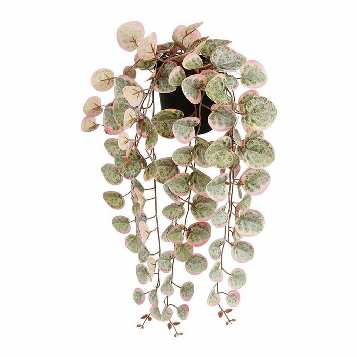 Декоративное растение Ceropegia Woodii 10 x 46 x 12 cm Искусственная Для подвешивания