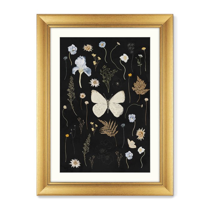 Набор из 2-х репродукций картин в раме Flower herbarium, No2 - купить Картины по цене 32598.0