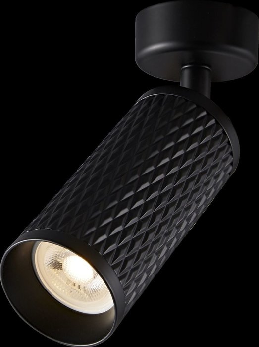 Потолочный светильник Alfa из алюминия черного цвета  - лучшие Потолочные светильники в INMYROOM