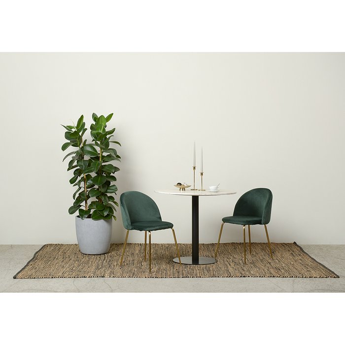 Стул Shayne темно-зеленого цвета - лучшие Обеденные стулья в INMYROOM