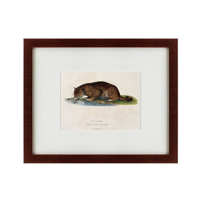 Картина A panther drinking 1830 г. - купить Картины по цене 4990.0