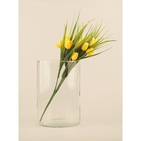 Цветы "Mini tulip"