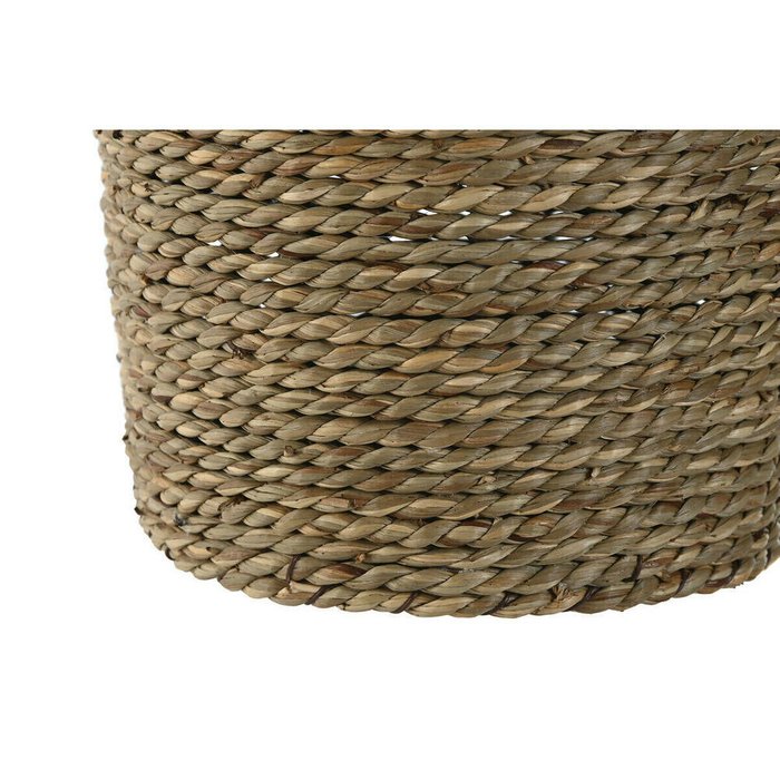 Ваза Натуральный Тропический 16 x 16 x 40 cm - купить Вазы  по цене 6639.0