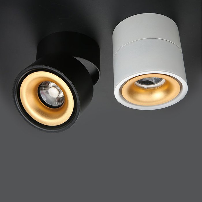 Потолочный светильник AGENDA black+gold 10W - лучшие Накладные споты в INMYROOM