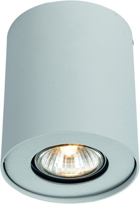 Потолочный светильник Arte Lamp Falcon 