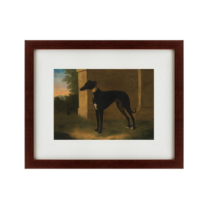 Репродукция картины Portrait of a Greyhound called Pompon 1746 г. - купить Картины по цене 4990.0