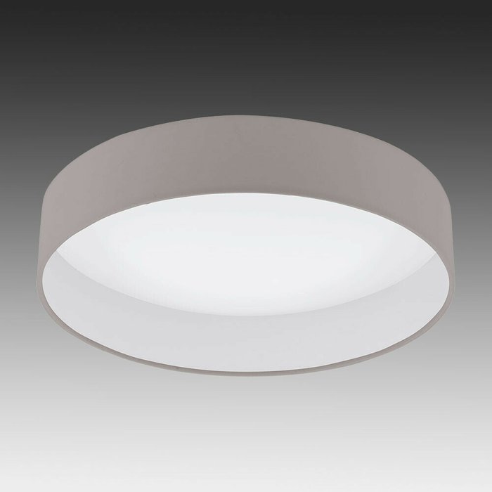 Светильник потолочный Palomaro 1 бело-серого цвета - лучшие Потолочные светильники в INMYROOM