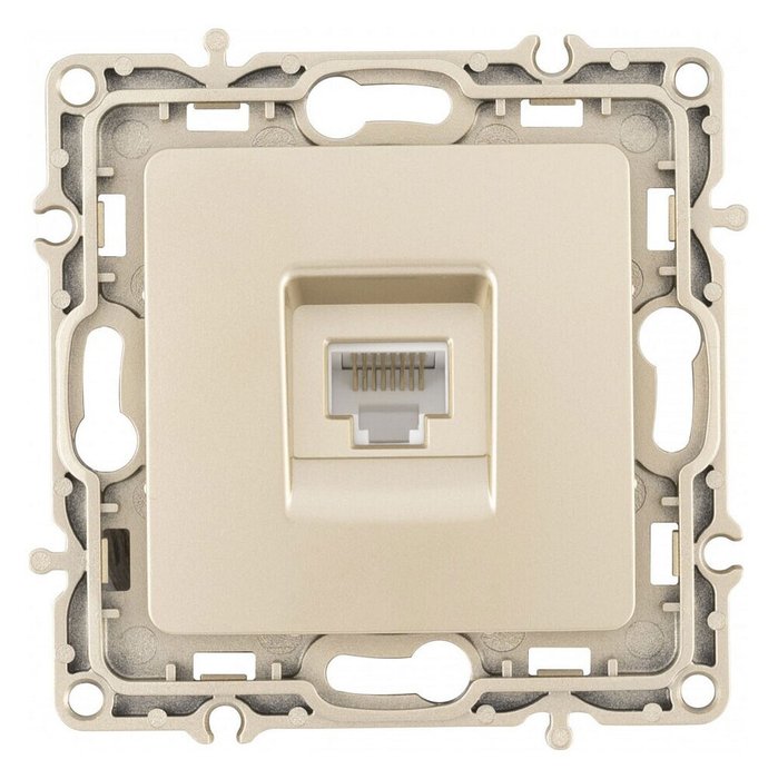 Розетка Ethernet RJ-45 без рамки 217.45-1.shampan - купить Розетки по цене 290.0