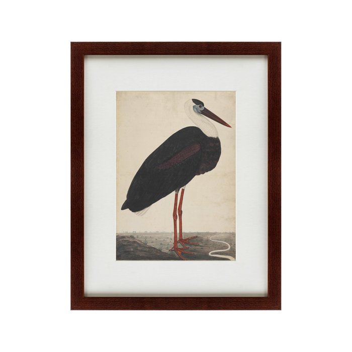 Картина Black Stork in a Landscape Индия 1780 г. - купить Картины по цене 5995.0