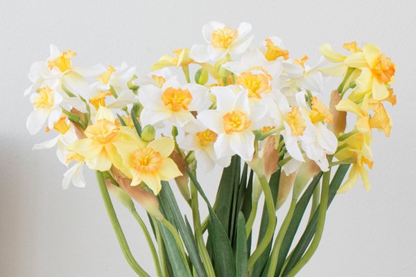 Композиция из искусственных цветов - Весенние нарциссы - купить Декоративные цветы по цене 6220.0