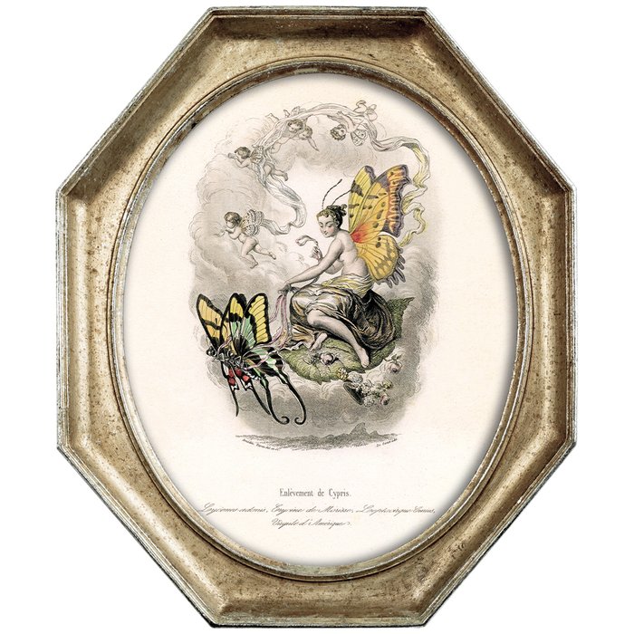 Картина Афродита Киприда, похищенная бабочками в раме Эдита