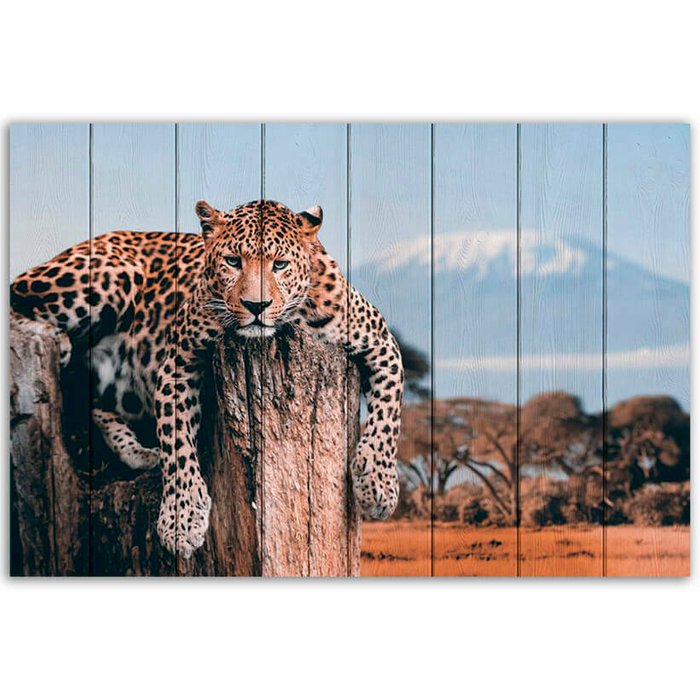 Картина на дереве Леопард в прериях 40х60 см