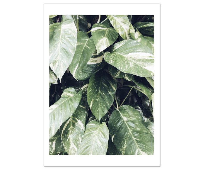 Панно Botanic printed на фотобумаге